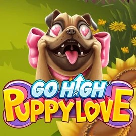 game logo by RubyPlay on spindynasty.eu