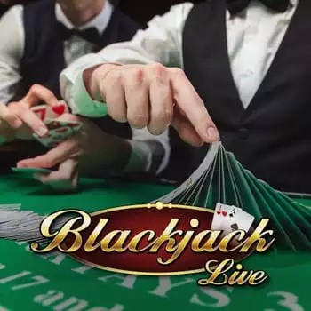 Live Blackjack logo by Pragmatic Live at Spin Dynasty CasinoLive Blackjack